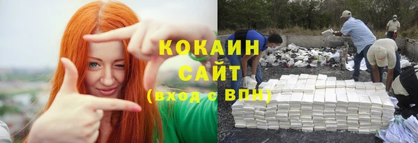 амф Козельск