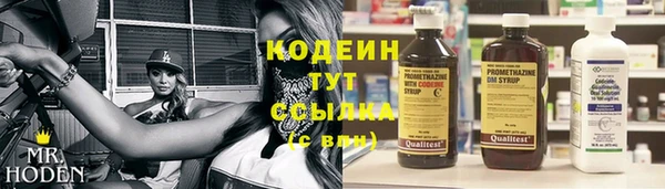 амф Козельск
