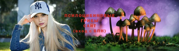 амф Козельск