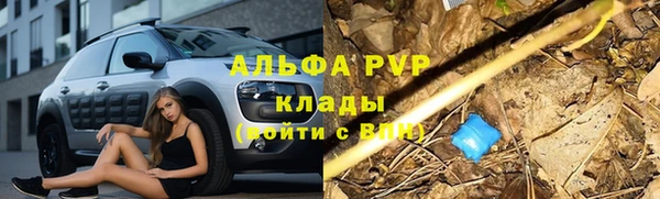 амф Козельск