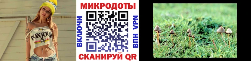 Псилоцибиновые грибы прущие грибы  Купить закладки  Горячий Ключ 